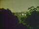 Linley Point 30.06.2025 18:54