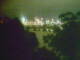 Linley Point 06.07.2025 18:54