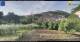 Palestrina 03.05.2025 18:55