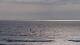 Biscarrosse 14.06.2025 18:55