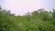 Metairie, Louisiana 14.06.2025 18:09