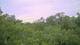 Metairie, Louisiana 11.07.2025 18:09
