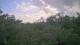 Metairie, Louisiana 08.06.2025 18:09