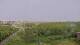Juist 08.06.2025 18:57