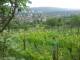 Feuerbach 08.06.2025 18:58