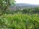 Feuerbach 14.06.2025 18:58