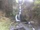 Triberg im Schwarzwald 29.04.2025 18:47