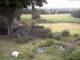Schneverdingen 11.07.2025 18:47