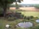 Schneverdingen 29.04.2025 18:47