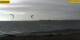 Fehmarn 25.04.2025 18:59