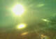 Sveti Vid-Miholjice (Krk) 28.04.2025 18:59