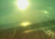 Sveti Vid-Miholjice (Krk) 14.06.2025 18:58