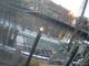 Boston, Massachusetts 30.04.2025 18:59
