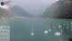 Pertisau 11.07.2025 18:00