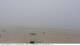 Fort-Mahon-Plage 29.04.2025 18:01