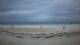 Diani Beach 06.07.2025 18:01