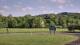 Nashville, Indiana 08.06.2025 18:19