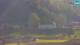 Medvode 29.04.2025 18:04
