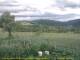 Cantalupo Ligure 08.07.2025 18:04