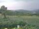 Cantalupo Ligure 06.07.2025 18:04