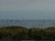 Cape Canaveral, Florida 08.07.2025 18:47