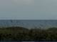 Cape Canaveral, Florida 03.07.2025 18:47