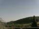 Hetschbach (Odenwald) 30.04.2025 18:47