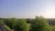 Shorewood, Illinois 14.06.2025 18:27