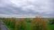 Shorewood, Illinois 30.04.2025 18:27