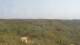 Moliets-et-Maa 09.06.2025 18:06