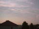 Billigheim-Allfeld 14.06.2025 18:47