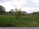 Dartmoor 30.04.2025 18:47