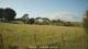 Dartmoor 18.06.2025 18:47