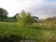 Dartmoor 29.04.2025 18:47