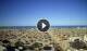 Rimini 09.07.2025 18:08