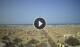 Rimini 08.06.2025 18:08