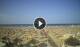 Rimini 14.06.2025 18:08