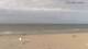 Blankenberge 03.05.2025 18:09