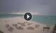 Île de Kuredu (Atoll de Lhaviyani) 03.07.2025 18:08