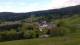 Zieleniec 23.04.2025 18:10