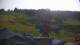 Zieleniec 08.06.2025 18:10