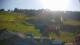 Zieleniec 14.06.2025 18:10