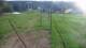 Zieleniec 29.04.2025 18:10
