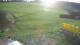 Zieleniec 29.04.2025 18:10