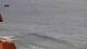 Ericeira 08.06.2025 18:54