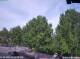Julianadorp 30.04.2025 18:11