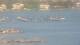 Balaruc-les-Bains 30.04.2025 18:11