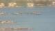 Balaruc-les-Bains 30.04.2025 18:11