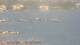 Balaruc-les-Bains 14.06.2025 18:11