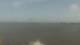 Arabi, Louisiana 08.06.2025 18:33